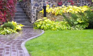 Garden stone path with grass growing up between the stones