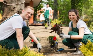 Two enthusiastic Norman Landscaping employees planting flowers on a sunny day